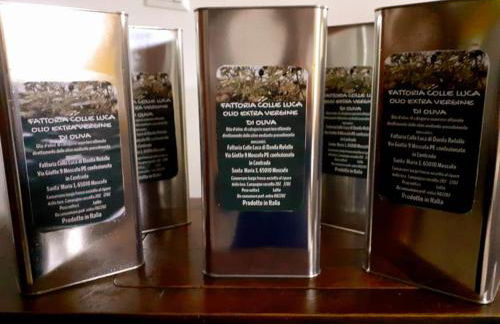 Agriturismo Fattoria colle Luca - Foto 43