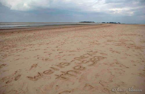 The Old Barn Apartment - Foto 39