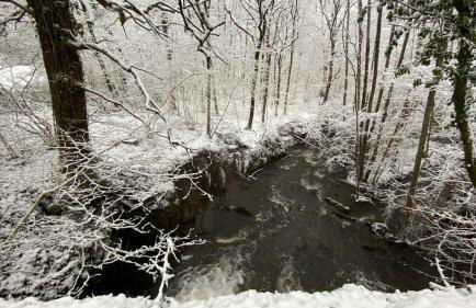 Cottage entier 4 ou 6 personnes gîte 19 - Foto 23