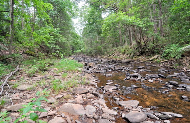 Rosies Creekside Retreat - 3 BR Escape! - Foto 29