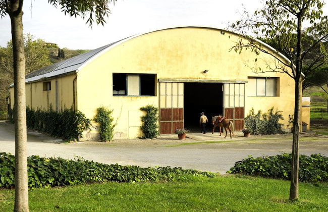 Agriturismo La Canonica - Photo 28