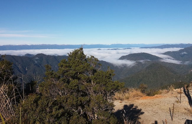 Carters Beach Holiday Studios - Foto 29