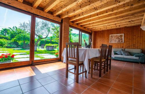 GATTO IN VIGNA - Foto 13