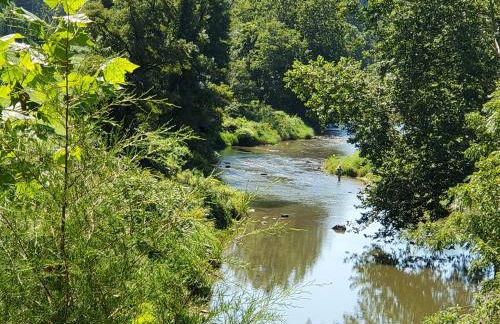 Big Timber Creek Cabin - Foto 42