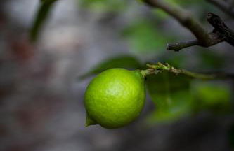 Agriturismo Podere Il Colle - Foto 34