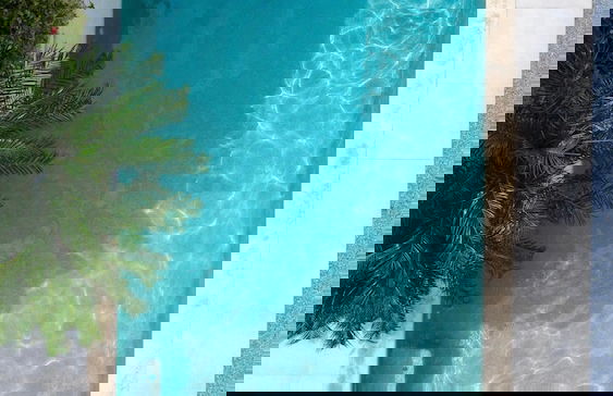 Movida Inn Aruba - Foto 64