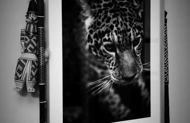 La Casa de Bonela - Foto 23