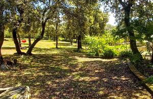 Apartments MULOBEDANJ - Foto 24