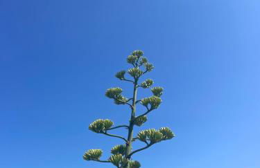 Bistrot del mare - Foto 77