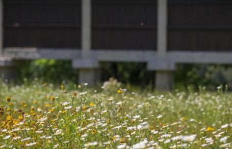 Quinta do Fontelo - Foto 23