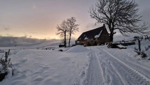 La ferme de Jouane - Photo 4