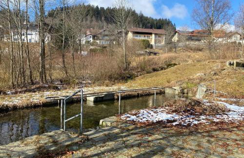 Vier Jahreszeiten - Foto 66