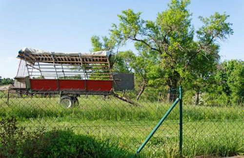 Ferienwohnung Apfelblüte - Foto 26