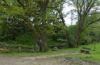 Ferienwohnung am Eifelsteig - Foto 39