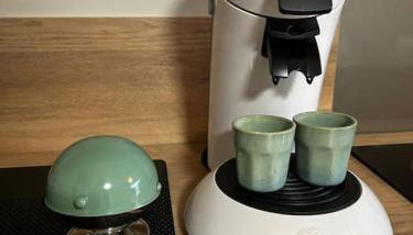 L'arbre de soie Futuroscope Acacia - Foto 3