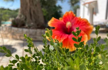 Masseria I Raffi b&b - Foto 31