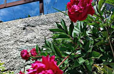 Brezza di Lago - Photo 30