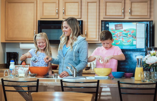 Timber Ridge Lodge and Waterpark - Photo 9