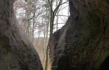 Sonnenhof, Ferienwohnung auf Reitanlage - Foto 34