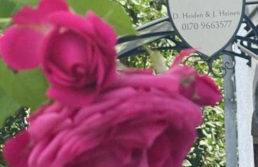 Ferienhaus am Baybach in Burgen an der Mosel - Foto 5