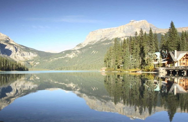 Excursión a un refugio de osos grizzly - Foto 7