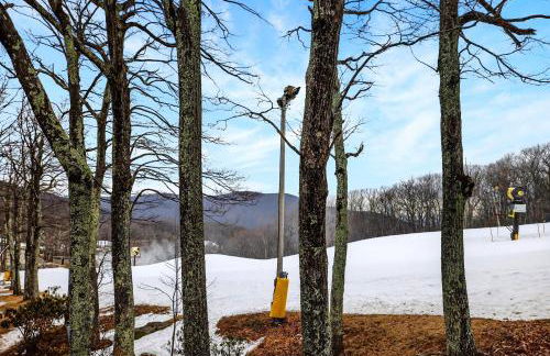 Eagles Court 41 with Wintergreen Advantage - Foto 10