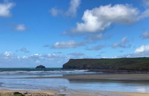 Hollyhocks - Foto 19