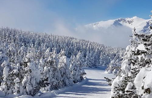 Chalet-nature - Foto 23