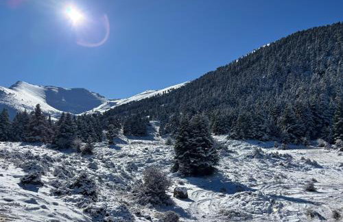 Kalavryta Moments - Foto 50