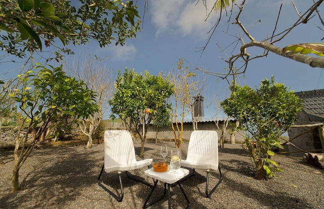 King Shelter by Madeira Sun Travel - Foto 40