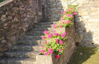 Host alla Millenaria - Foto 25