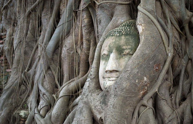 Mercado sobre las vías, mercado flotante y ruinas de Ayutthaya - Foto 2