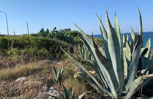 Salento Villa Cice, AC - WiFi - BBQ - attrezzatura da spiaggia - parcheggio privato sorvegliato, Due unità abitative indipendenti e giardino a due passi dal mare - Torre Ovo - Foto 66