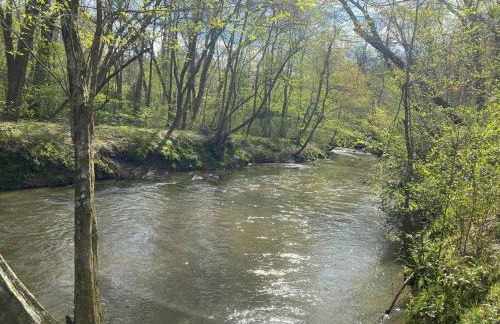 Mystic Creek Retreat (next to Blue Ridge) - Foto 48