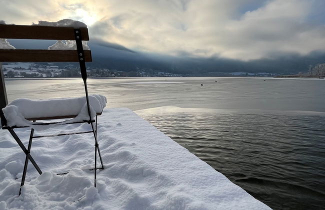 Seezugang & Ski Ossiacher See - Foto 38