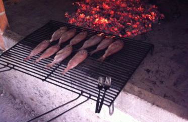 Apartman Igor - Photo 29