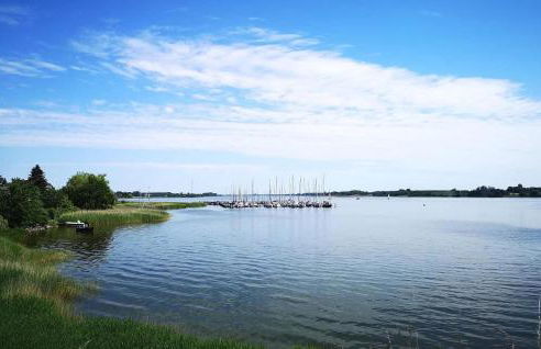 Marina Lindaunis - Foto 28