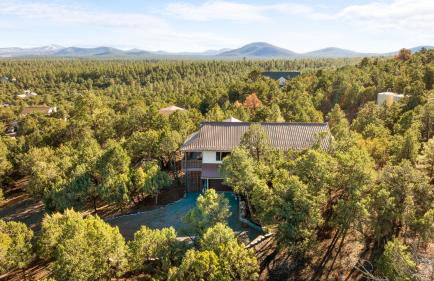 Breathtaking Cabin Backing the National Forest - Foto 62