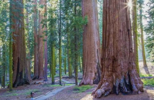 The Stew Cabin Cozy Escape Fireside Memories - Foto 53