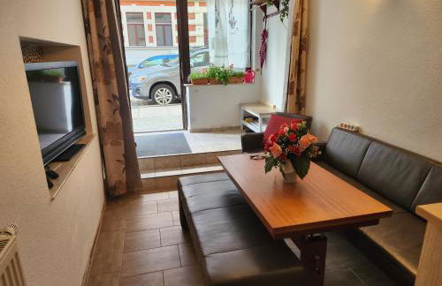 Halle, TOP -PREISE, große 79 qm SD FeWo, EG, wahlweise mit 1- 3 DZ, inklusiv TV Lounge, Küche, Bad WC Einfach und gut, Langzeitmieter VB Preise - Foto 8