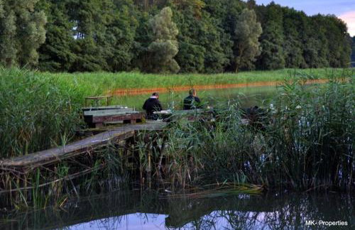 Miła Dolina - Foto 48