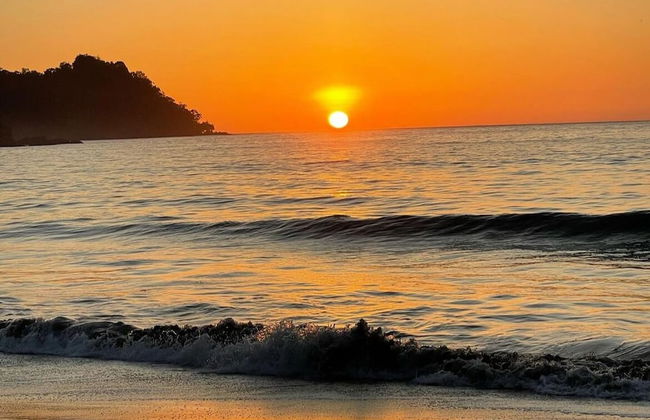 Kinkajoungalows - Foto 1