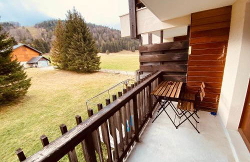 Superbe studio de montagne, au pied des pistes de ski, classé 3 étoiles - Foto 6