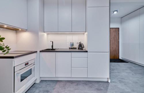 Apartament Sztuk Pięknych 10 - Foto 10