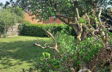 Apple Trees Bungalow, Holt, Norfolk - Photo 6