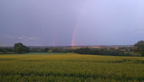 Maison d'hôtes La Roulotte des 4 Saisons - Foto 3, Garden