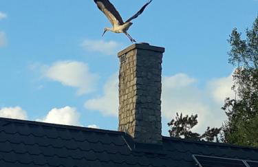 Pucówka na skraju Puszczy Białowieskiej - Foto 27