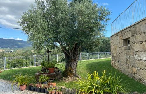 Casa da Gândara - Photo 44