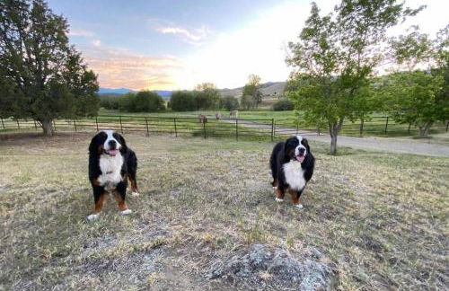 New! Lower Level Ranch Home - 10 mins to Town - Foto 18