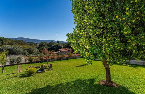 Villa with private Pool and Garden - Foto 14